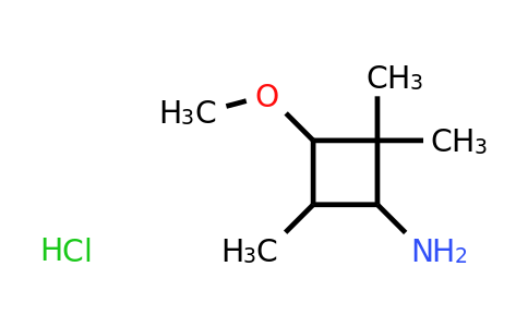 CAS 1432681-82-7 | 3-methoxy-2,2,4-trimethylcyclobutan-1-amine hydrochloride