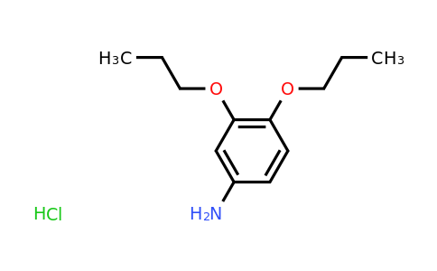 CAS 143269-30-1 | 3,4-dipropoxyaniline hydrochloride