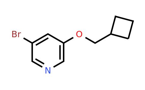 CAS 1434047-85-4 | 3-bromo-5-(cyclobutylmethoxy)pyridine