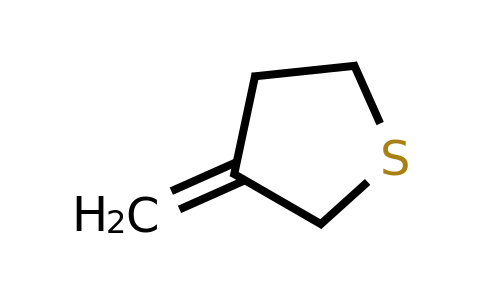 CAS 143435-56-7 | 3-methylidenethiolane