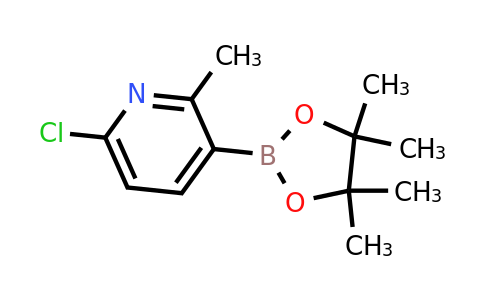 CAS 1436866-79-3 | 6-Chloro-2-methyl-3-(4,4,5,5-tetramethyl-1,3,2-dioxaborolan-2-YL)pyridine