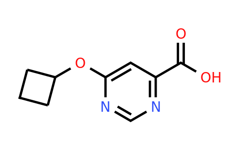 CAS 1439900-47-6 | 6-Cyclobutoxypyrimidine-4-carboxylic acid