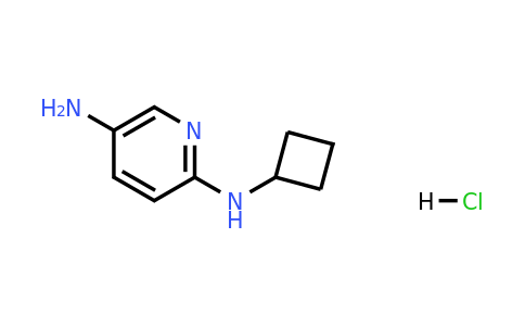 CAS 1439902-93-8 | N2-Cyclobutylpyridine-2,5-diamine hydrochloride