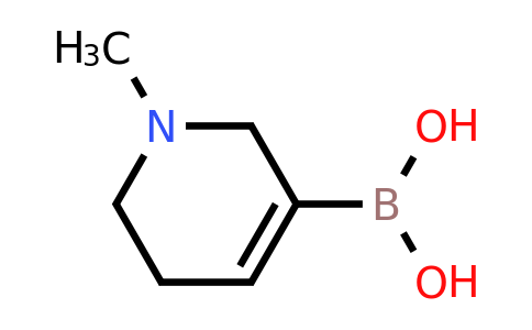 CAS 1443112-48-8 | [1-Methyl-1,2,5,6-tetrahydropyridine-3-yl]boronic acid