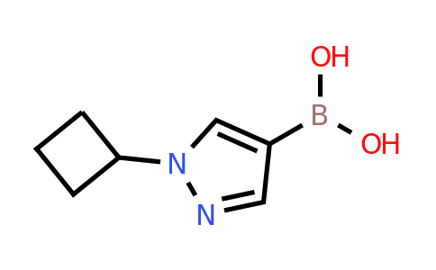 CAS 1443112-54-6 | 1-(Cyclobutyl)-1H-pyrazole-4-boronic acid