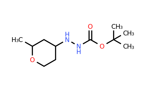 CAS 1443979-78-9 | N'-(2-methyloxan-4-yl)(tert-butoxy)carbohydrazide