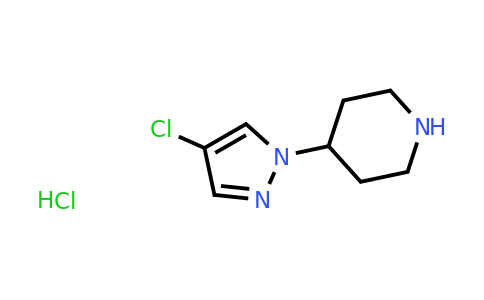 CAS 1443980-02-6 | 4-(4-chloro-1H-pyrazol-1-yl)piperidine hydrochloride