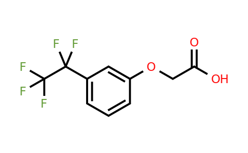 CAS 1443980-32-2 | 2-[3-(pentafluoroethyl)phenoxy]acetic acid