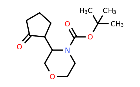CAS 1443980-64-0 | tert-butyl 3-(2-oxocyclopentyl)morpholine-4-carboxylate