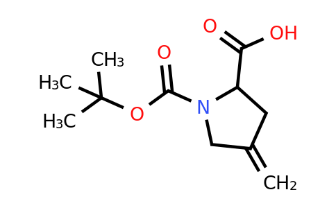CAS 144539-45-7 | 1-[(tert-butoxy)carbonyl]-4-methylidenepyrrolidine-2-carboxylic acid