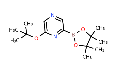 CAS 1448788-59-7 | 6-(Tert-butoxy)pyrazine-2-boronic acid pinacol ester