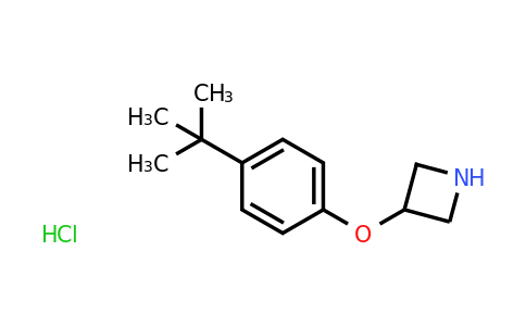 CAS 1449117-39-8 | 3-(4-(tert-Butyl)phenoxy)azetidine hydrochloride