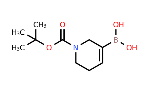 CAS 1451153-83-5 | 1-Boc-5,6-dihydro-2H-pyridine-3-boronic acid