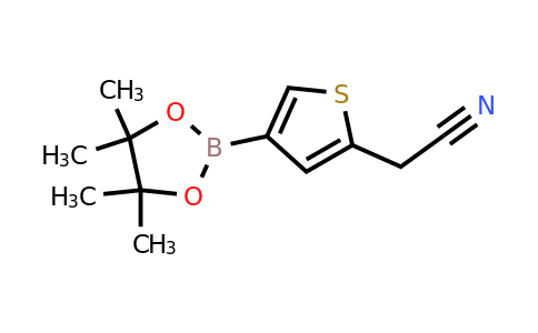 CAS 1451187-22-6 | 2-(4-(4,4,5,5-Tetramethyl-1,3,2-dioxaborolan-2-YL)thiophen-2-YL)acetonitrile