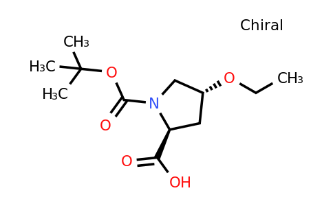 CAS 146060-18-6 | (4R)-1-Boc-4-ethoxy-L-proline