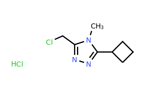 CAS 1461704-97-1 | 3-(chloromethyl)-5-cyclobutyl-4-methyl-4H-1,2,4-triazole hydrochloride