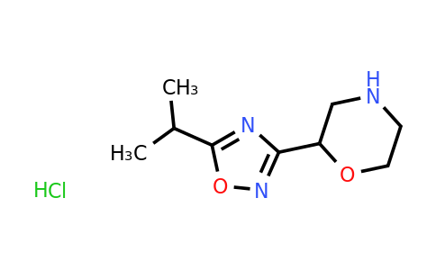 CAS 1461705-06-5 | 2-[5-(propan-2-yl)-1,2,4-oxadiazol-3-yl]morpholine hydrochloride