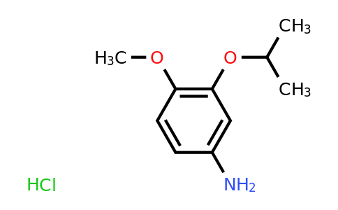 CAS 1461705-57-6 | 4-methoxy-3-(propan-2-yloxy)aniline hydrochloride