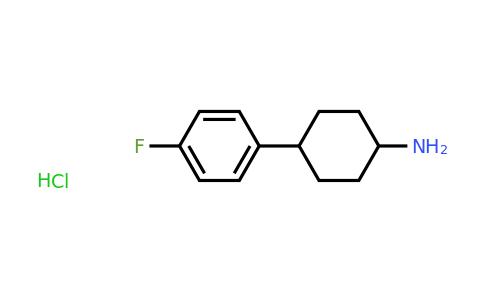 CAS 1461707-19-6 | 4-(4-fluorophenyl)cyclohexan-1-amine hydrochloride