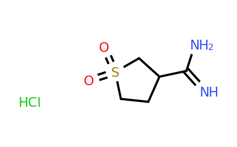 CAS 1461708-44-0 | 1,1-dioxo-1lambda6-thiolane-3-carboximidamide hydrochloride