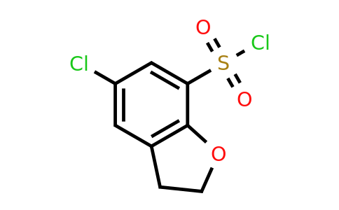 CAS 1461708-46-2 | 5-chloro-2,3-dihydro-1-benzofuran-7-sulfonyl chloride