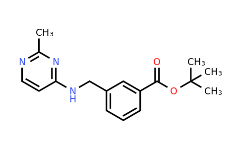 CAS 1461708-69-9 | tert-butyl 3-{[(2-methylpyrimidin-4-yl)amino]methyl}benzoate