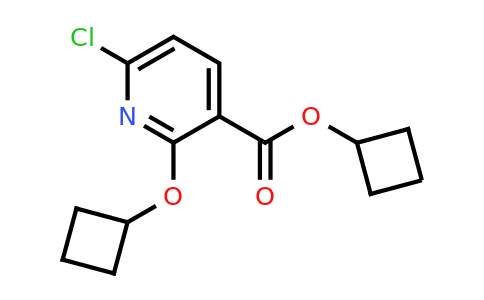 CAS 1461713-48-3 | cyclobutyl 6-chloro-2-cyclobutoxypyridine-3-carboxylate