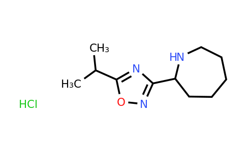 CAS 1461713-91-6 | 2-[5-(propan-2-yl)-1,2,4-oxadiazol-3-yl]azepane hydrochloride