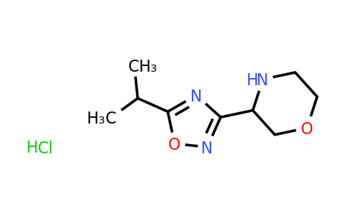 CAS 1461713-98-3 | 3-[5-(propan-2-yl)-1,2,4-oxadiazol-3-yl]morpholine hydrochloride