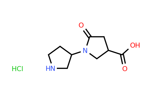 CAS 1461714-31-7 | 5-oxo-1-(pyrrolidin-3-yl)pyrrolidine-3-carboxylic acid hydrochloride