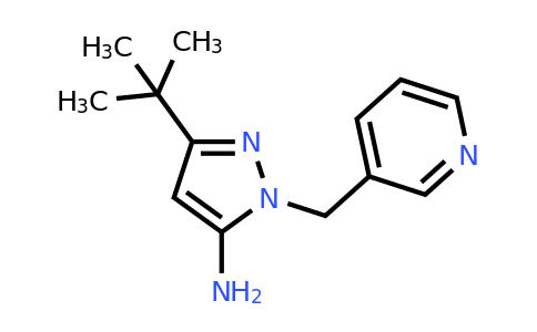 CAS 1461715-04-7 | 3-tert-butyl-1-[(pyridin-3-yl)methyl]-1H-pyrazol-5-amine