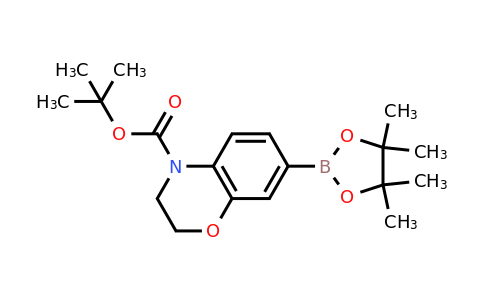CAS 1467057-57-3 | tert-butyl 7-(4,4,5,5-tetramethyl-1,3,2-dioxaborolan-2-yl)-2,3-dihydro-1,4-benzoxazine-4-carboxylate
