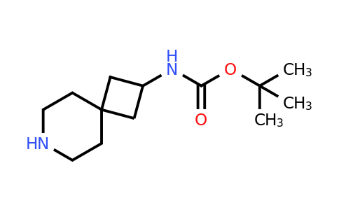 CAS 147611-03-8 | Tert-butyl 7-azaspiro[3.5]nonan-2-ylcarbamate