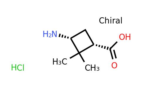 CAS 1476780-44-5 | (1S,3R)-3-amino-2,2-dimethylcyclobutane-1-carboxylic acid hydrochloride