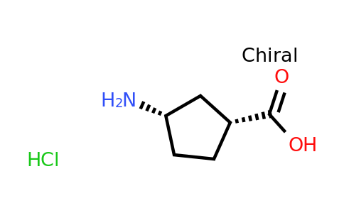 CAS 147780-44-7 | (1R,3S)-3-Aminocyclopentanecarboxylic acid hydrochloride