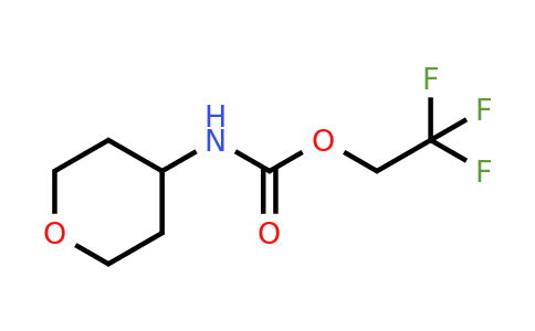 CAS 1479373-40-4 | 2,2,2-trifluoroethyl N-(oxan-4-yl)carbamate