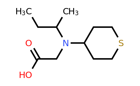 CAS 1484017-69-7 | 2-[(butan-2-yl)(thian-4-yl)amino]acetic acid