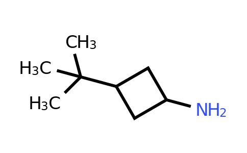 CAS 1484930-26-8 | 3-tert-butylcyclobutan-1-amine