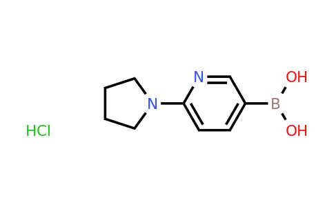 CAS 1485418-79-8 | [6-(pyrrolidin-1-yl)pyridin-3-yl]boronic acid hydrochloride