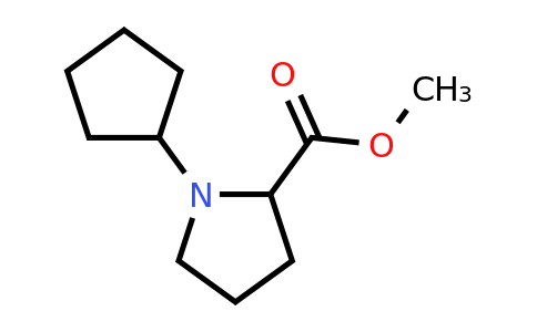 CAS 1485728-95-7 | methyl 1-cyclopentylpyrrolidine-2-carboxylate