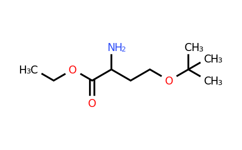 CAS 1485739-07-8 | ethyl 2-amino-4-(tert-butoxy)butanoate