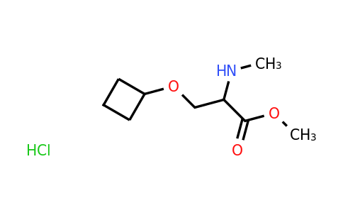 CAS 1485749-12-9 | methyl 3-cyclobutoxy-2-(methylamino)propanoate hydrochloride