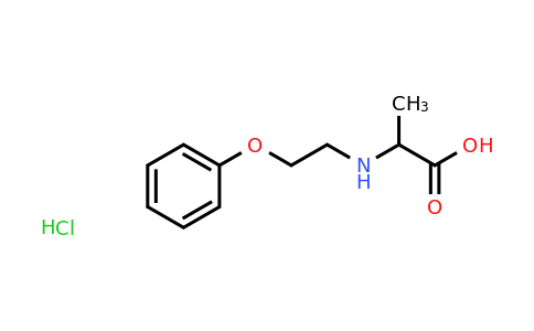 CAS 1485766-06-0 | 2-[(2-phenoxyethyl)amino]propanoic acid hydrochloride