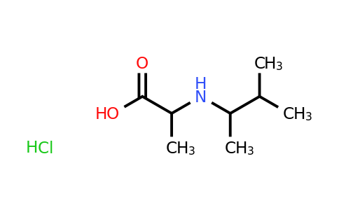 CAS 1485818-06-1 | 2-[(3-methylbutan-2-yl)amino]propanoic acid hydrochloride