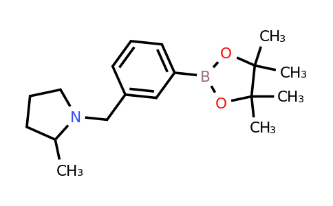 CAS 1486485-46-4 | 2-methyl-1-{[3-(tetramethyl-1,3,2-dioxaborolan-2-yl)phenyl]methyl}pyrrolidine