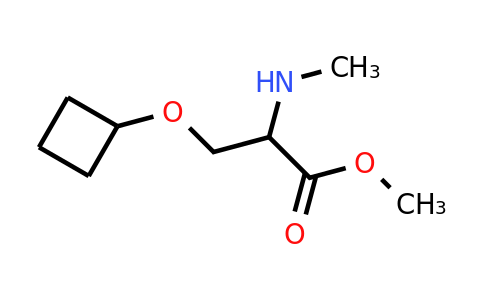 CAS 1486617-51-9 | methyl 3-cyclobutoxy-2-(methylamino)propanoate