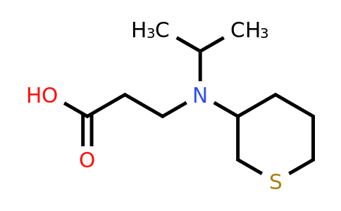 CAS 1491108-10-1 | 3-[(propan-2-yl)(thian-3-yl)amino]propanoic acid