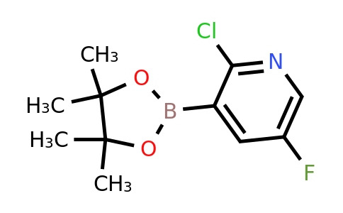 CAS 1492890-58-0 | 2-Chloro-5-fluoropyridine-3-boronic acid pinacol ester