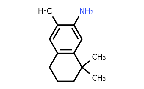 CAS 149620-30-4 | 3,8,8-trimethyl-5,6,7,8-tetrahydronaphthalen-2-amine