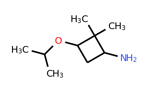 CAS 1500446-88-7 | 2,2-dimethyl-3-(propan-2-yloxy)cyclobutan-1-amine